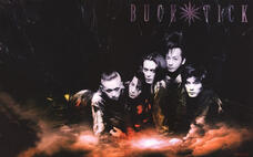 ⁺˚⋆。BUCKTICK PVs°✩₊